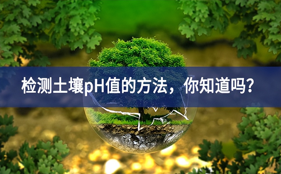 檢測(cè)土壤pH值的方法，你知道嗎？
