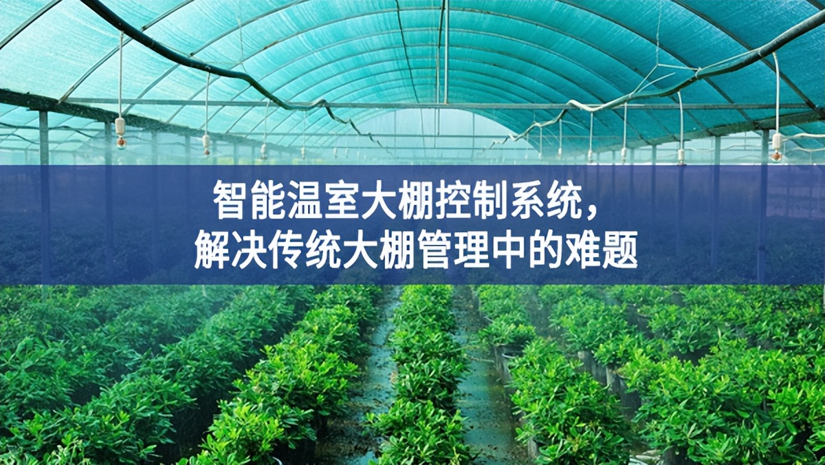 智能溫室大棚控制系統(tǒng)，解決傳統(tǒng)大棚管理中的難題