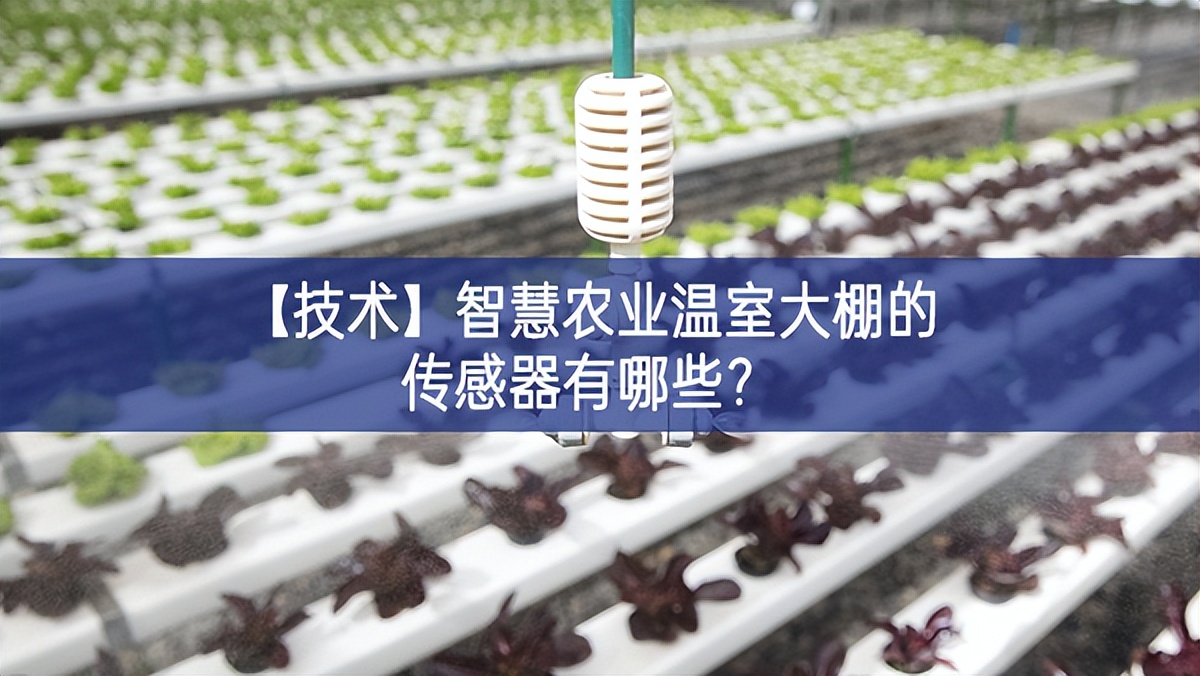 【技術】智慧農(nóng)業(yè)溫室大棚的傳感器有哪些?