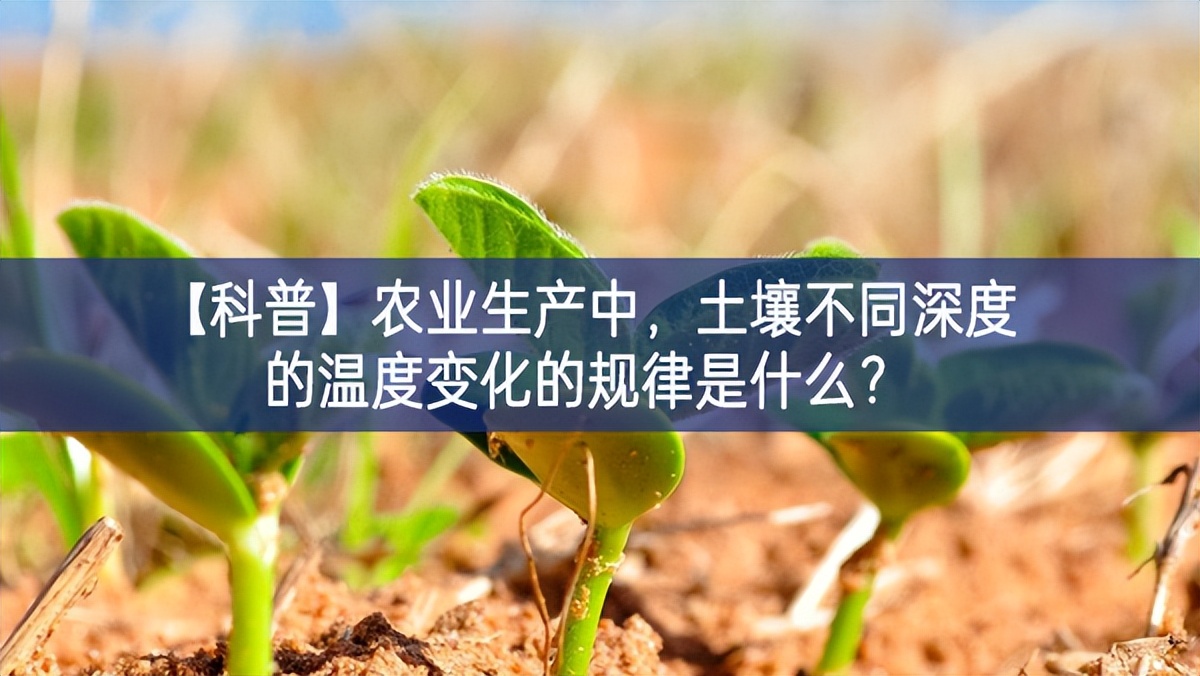 【科普】農(nóng)業(yè)生產(chǎn)中，土壤不同深度的溫度變化的規(guī)律是什么？