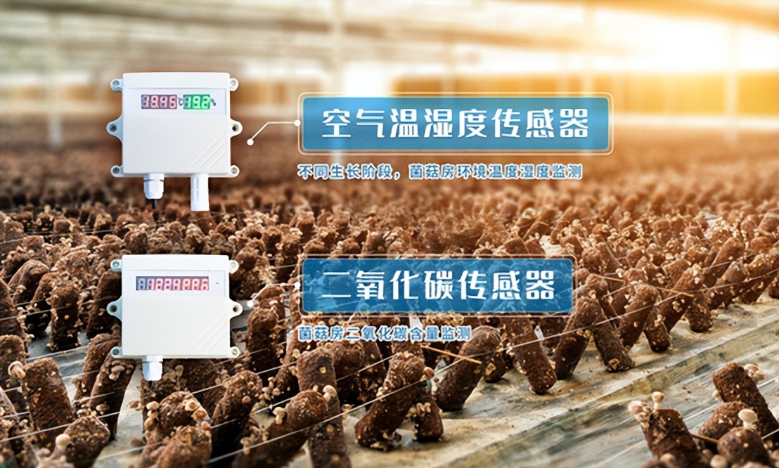 空氣溫濕度傳感器、二氧化碳傳感器