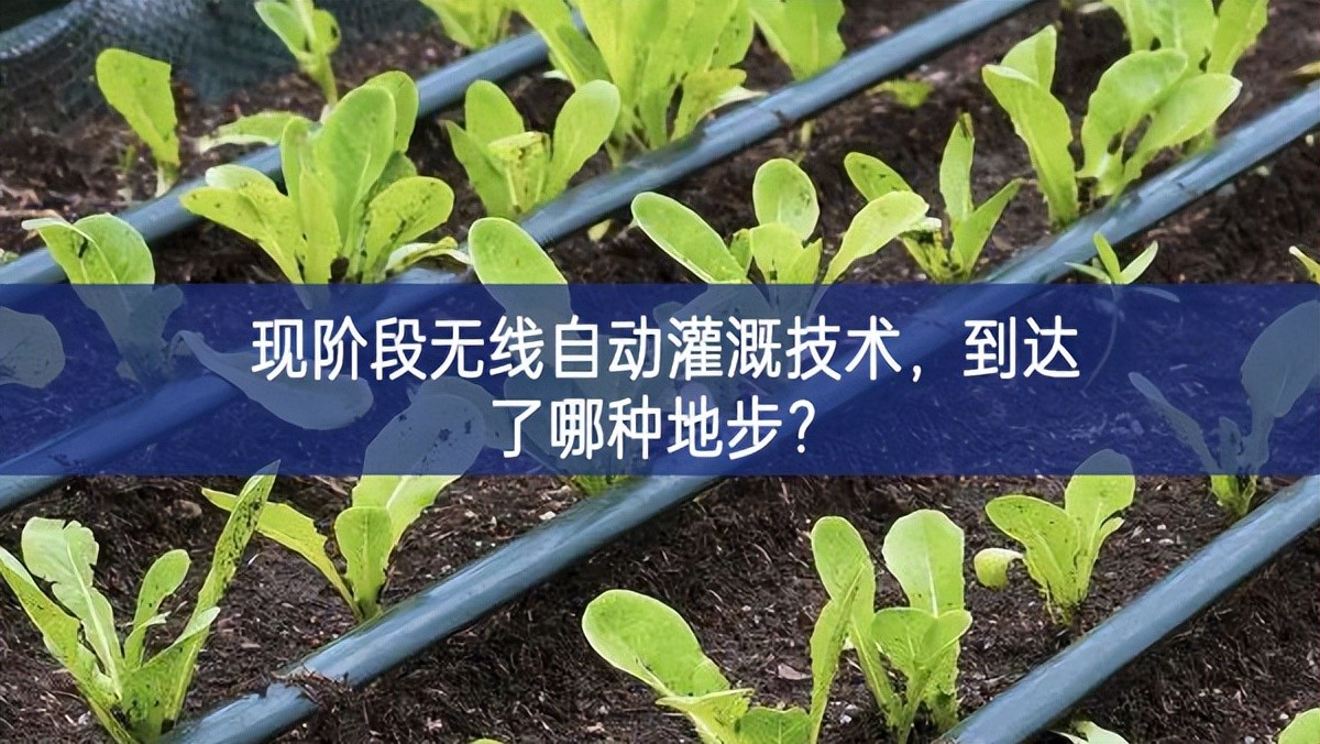 現(xiàn)階段無線自動灌溉技術，到達了哪種地步？