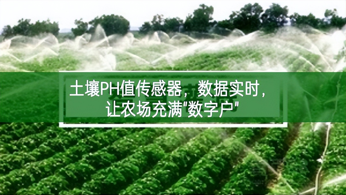 土壤PH值傳感器，數(shù)據(jù)實時，讓農場充滿"數(shù)字戶"
