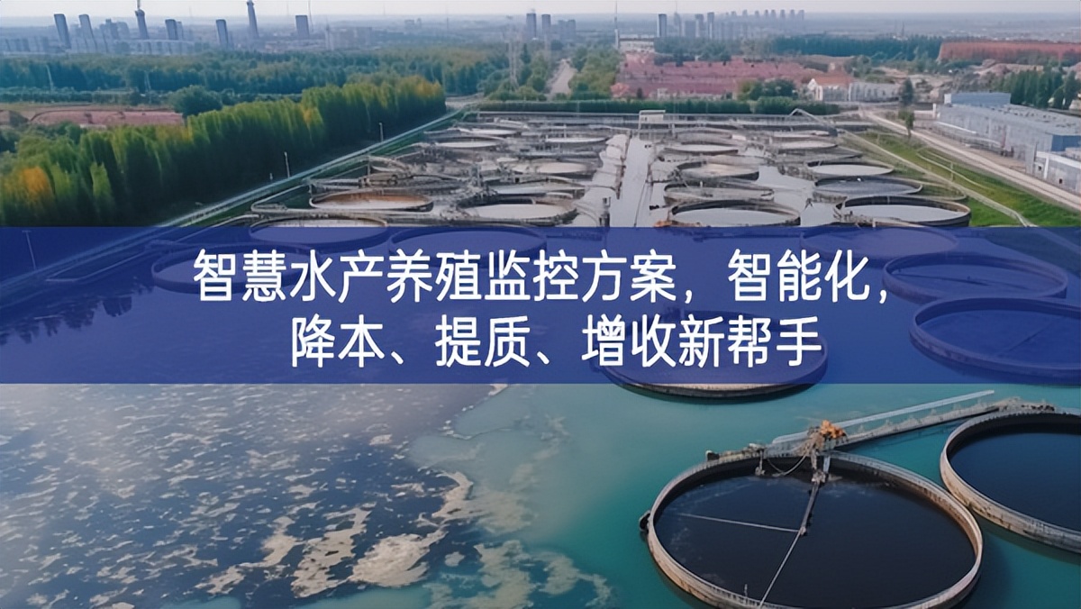 智慧水產(chǎn)養(yǎng)殖監(jiān)控方案，智能化，降本、提質(zhì)、增收新幫手