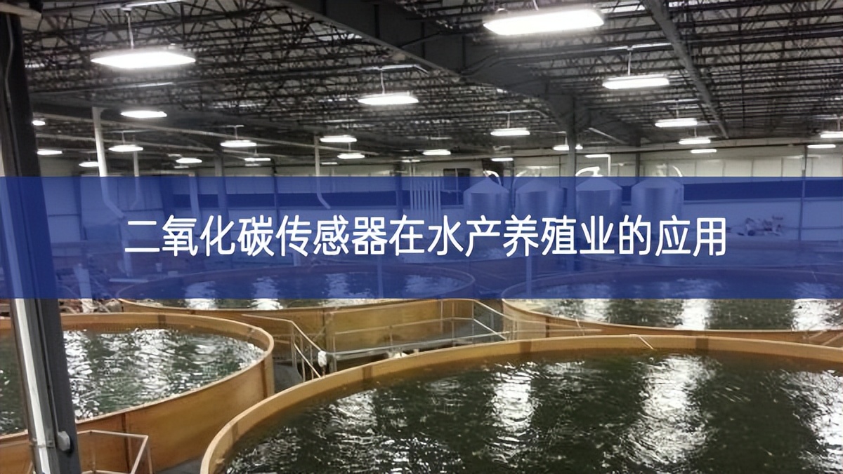二氧化碳傳感器在水產養(yǎng)殖業(yè)的應用