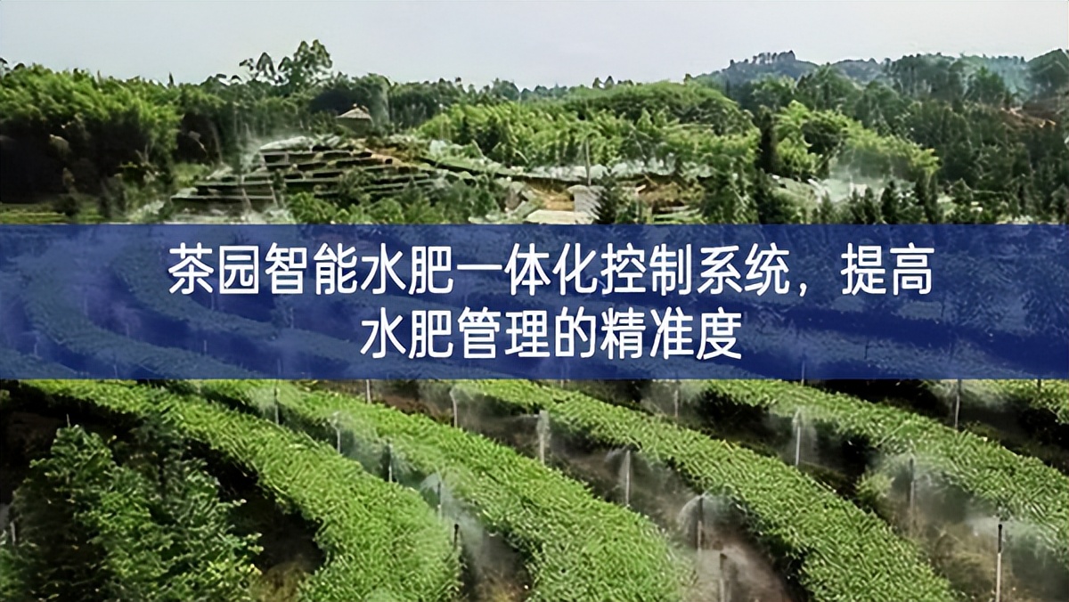 茶園智能水肥一體化控制系統(tǒng)，提高水肥管理的精準度