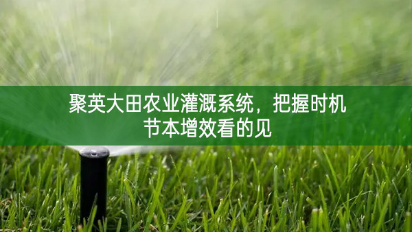 聚英大田農(nóng)業(yè)灌溉系統(tǒng)，把握時(shí)機(jī)節(jié)本增效看的見