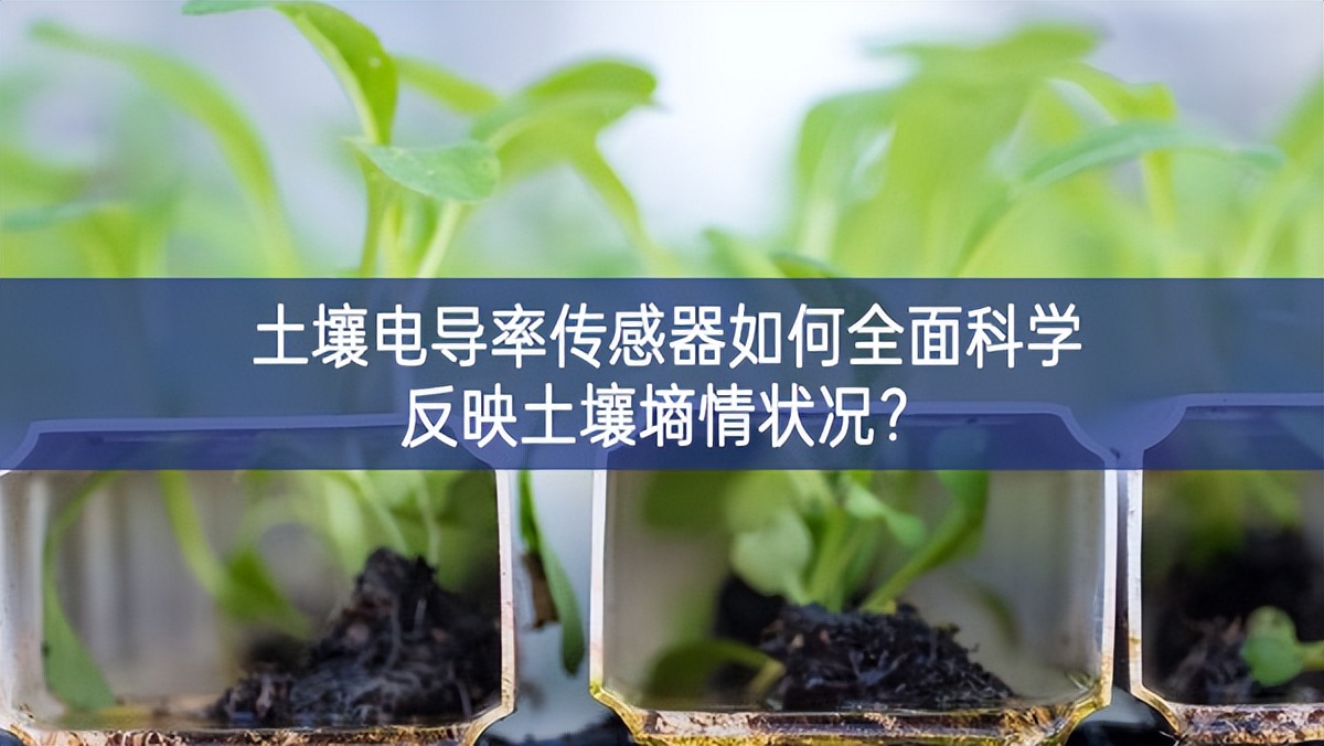 土壤電導(dǎo)率傳感器如何全面科學(xué)反映土壤墑情狀況？