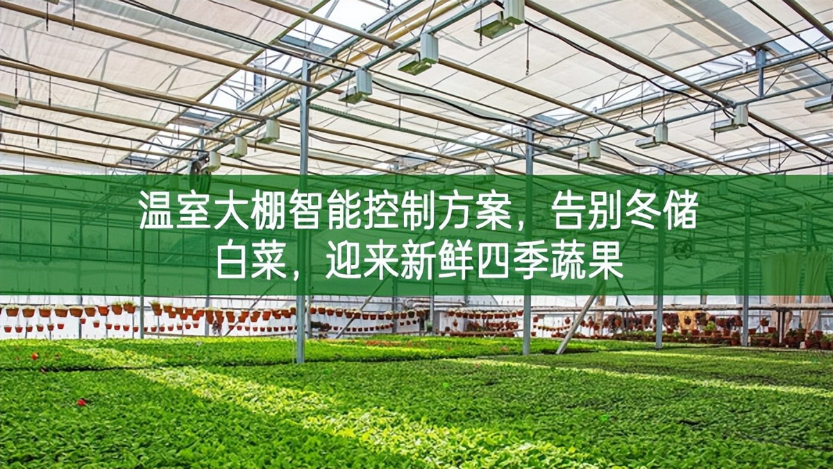 溫室大棚智能控制方案，告別冬儲白菜，迎來新鮮四季蔬果