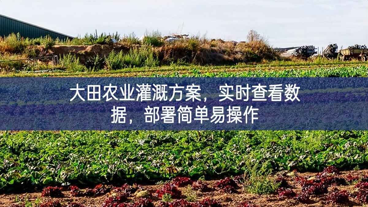 大田農(nóng)業(yè)灌溉方案，實(shí)時(shí)查看數(shù)據(jù)，部署簡(jiǎn)單易操作