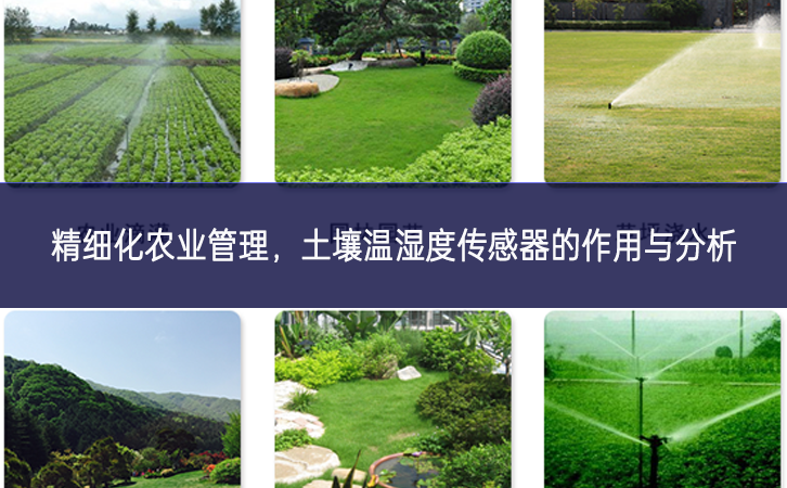 精細化農(nóng)業(yè)管理，土壤溫濕度傳感器的作用與分析