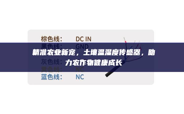 精準(zhǔn)農(nóng)業(yè)新寵，土壤溫濕度傳感器，助力農(nóng)作物健康成長