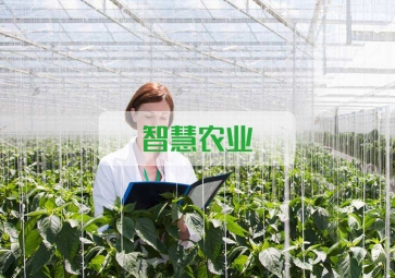 春雷一聲 驚蟄到，聚英智慧農(nóng)業(yè)系統(tǒng)助力農(nóng)業(yè)春耕
