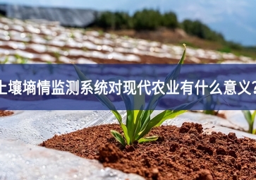土壤墑情監(jiān)測(cè)系統(tǒng)對(duì)現(xiàn)代農(nóng)業(yè)有什么意義？