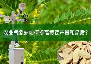 農(nóng)業(yè)氣象站如何提高黃芪產(chǎn)量和品質？