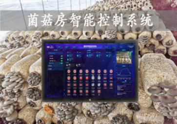 「智慧養(yǎng)殖」菌菇房智能控制系統(tǒng)，智能控溫，助力大棚食用菌種植