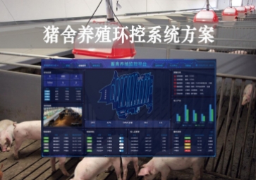 「智慧養(yǎng)殖」豬舍養(yǎng)殖環(huán)控系統(tǒng)方案，獲取環(huán)境參數(shù)，數(shù)字化畜牧業(yè)