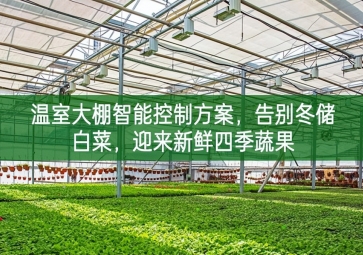 「智慧農(nóng)業(yè)」溫室大棚智能控制方案，告別冬儲(chǔ)白菜，迎來新鮮四季蔬果