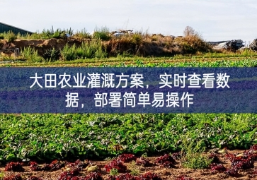「智慧農(nóng)業(yè)」大田農(nóng)業(yè)灌溉方案，實(shí)時(shí)查看數(shù)據(jù)，部署簡單易操作