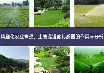 精細化農業(yè)管理，土壤溫濕度傳感器的作用與分析