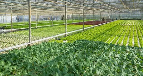 應用產業(yè)信息化、智能化下的溫室大棚控制系統(tǒng).png